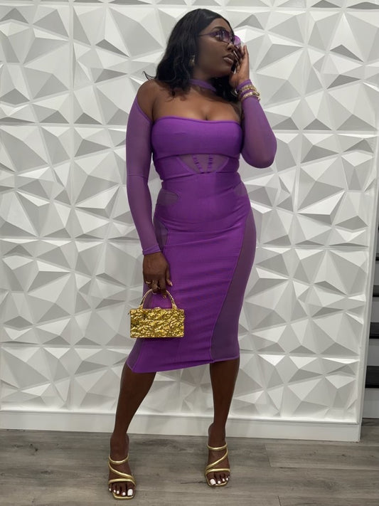 Nuruji Long Sleeve Mesh Dress x Violet