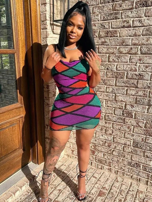 Suki Mesh Multi-Color Cutout Dress