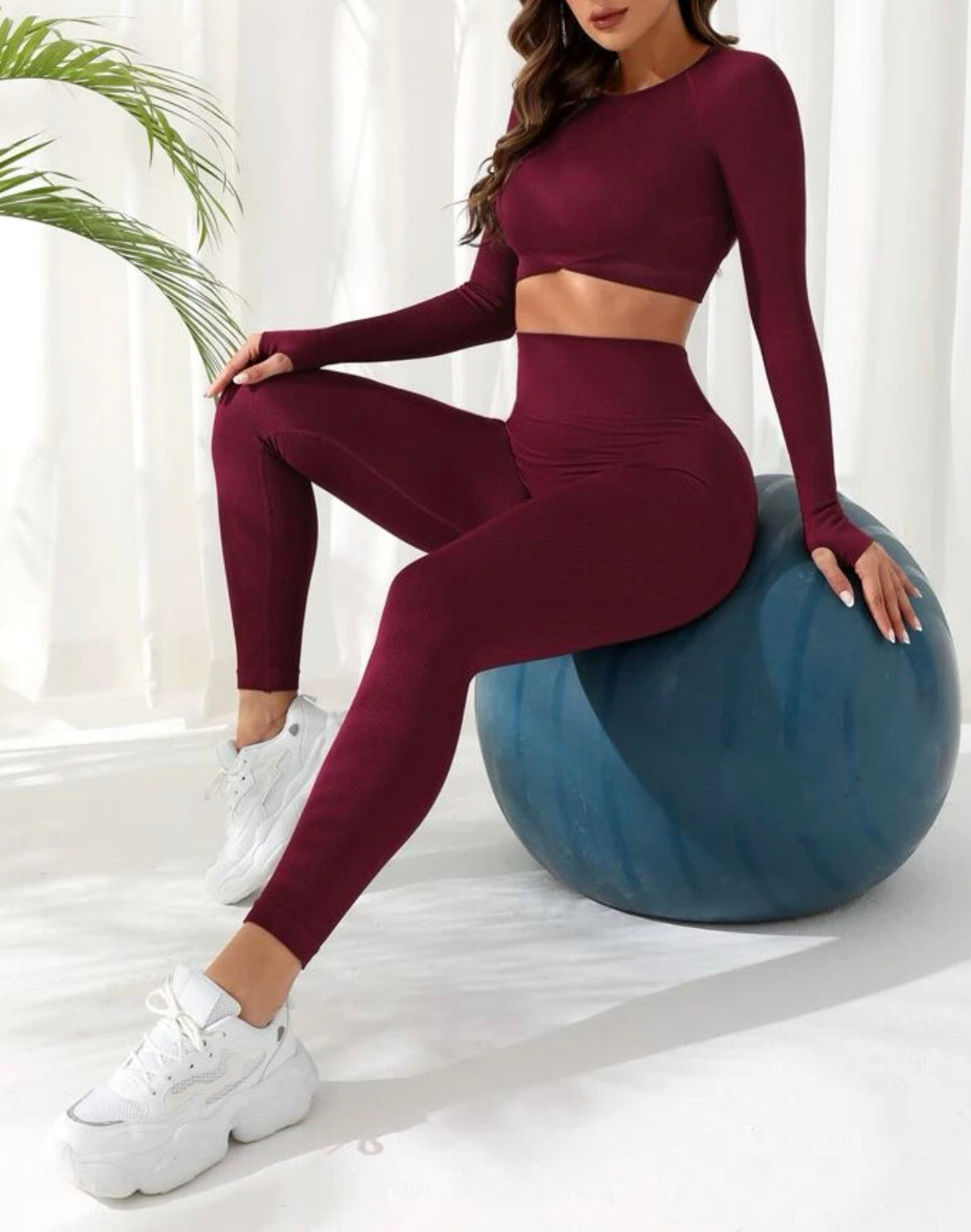Zoraya 2 Piece Seamless Athletic Set x Dark Wine