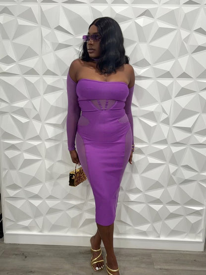 Nuruji Long Sleeve Mesh Dress x Violet